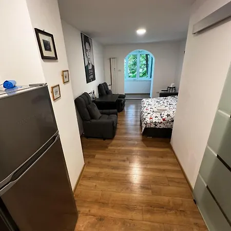 Apartment Grigorescu *